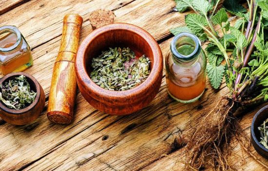 Apps de Plantas Medicinais