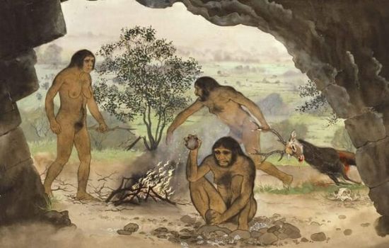 Apps para Ver Ancestralidade