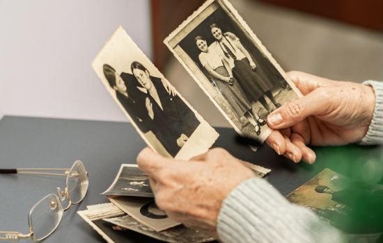 Veja agora Seus Antepassados