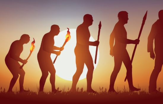 Descubra Quem São Seus Ancestrais