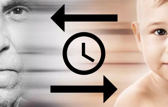 Apps que Mostram Antepassados
