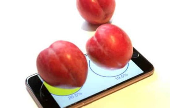 Medição de Peso com Seu Smartphone: Praticidade ao Alcance