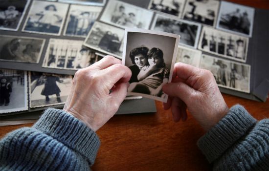 Desvendando Raízes: Veja Seus Antepassados com o MyHeritage