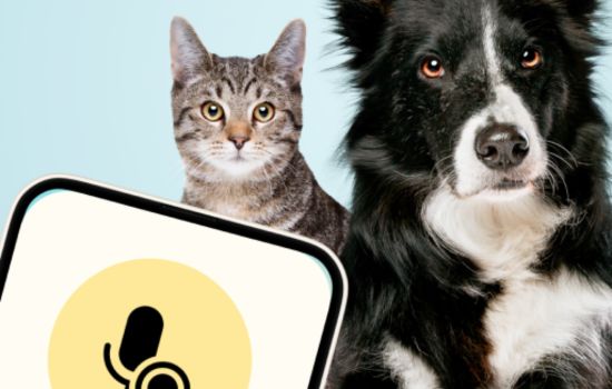 A Revolução na Comunicação com seus Animais de Estimação