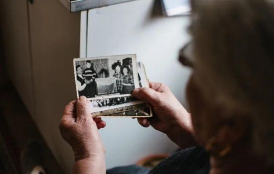 "ClansRoot" - Origem dos Sobrenomes Familiares