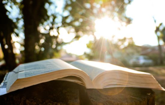 Descubra suas Raízes: Explore seu Sobrenome com "Findmypast"