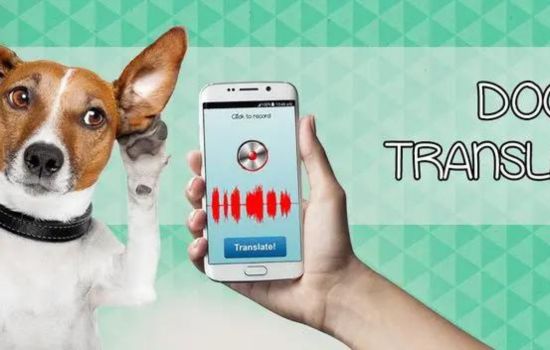 Compreendendo o seu Pet: App "Tradutor de humano para cão"