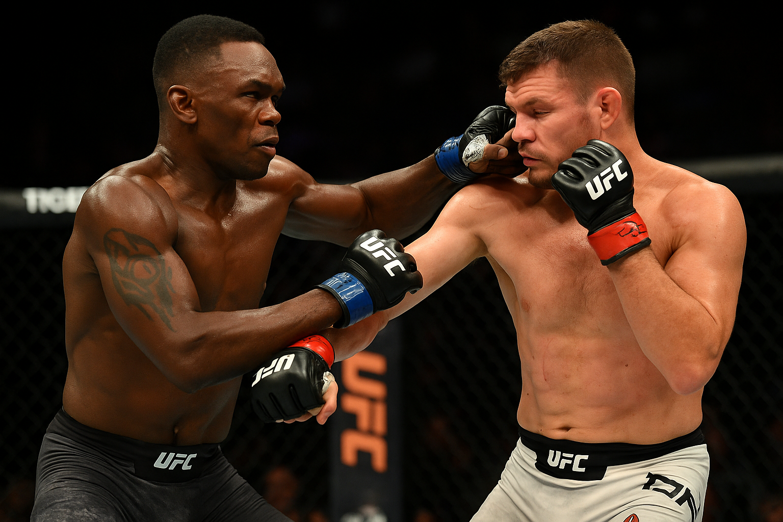 Como assistir UFC grátis pelo celular usando aplicativos