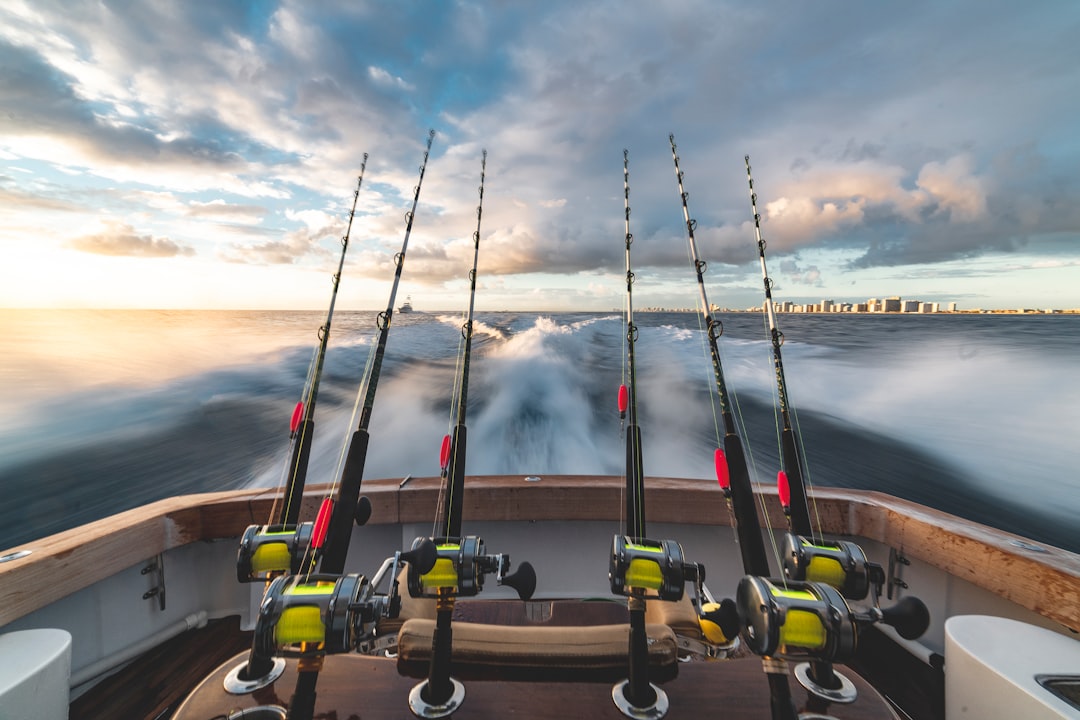 six black-and-yellow fishing rod in boat — Foto por stephen momot na Unsplash