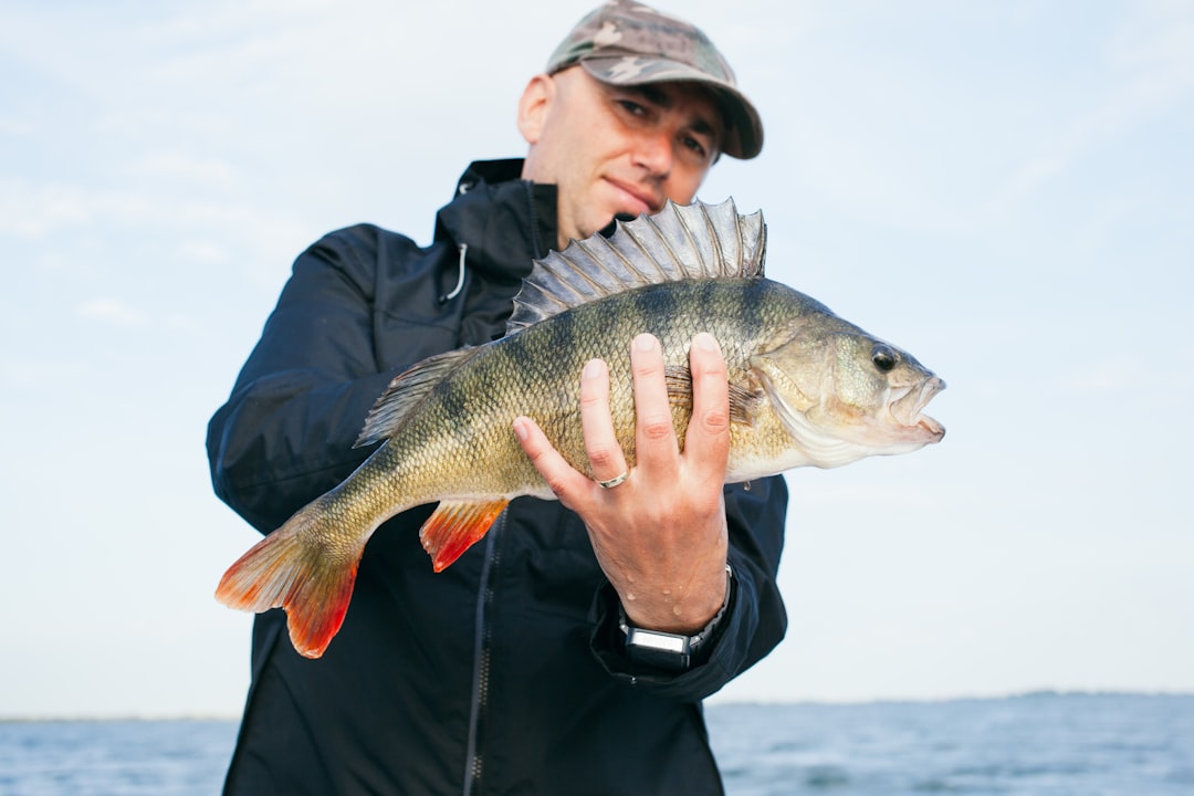 man holding grey fish with ocean background — Foto por www.raubfisch24.de na Unsplash