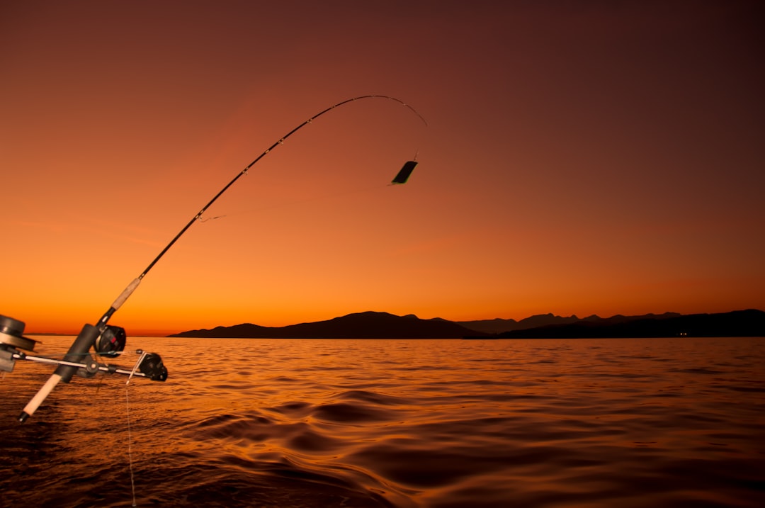 body of water during golden hour — Foto por James Wheeler na Unsplash