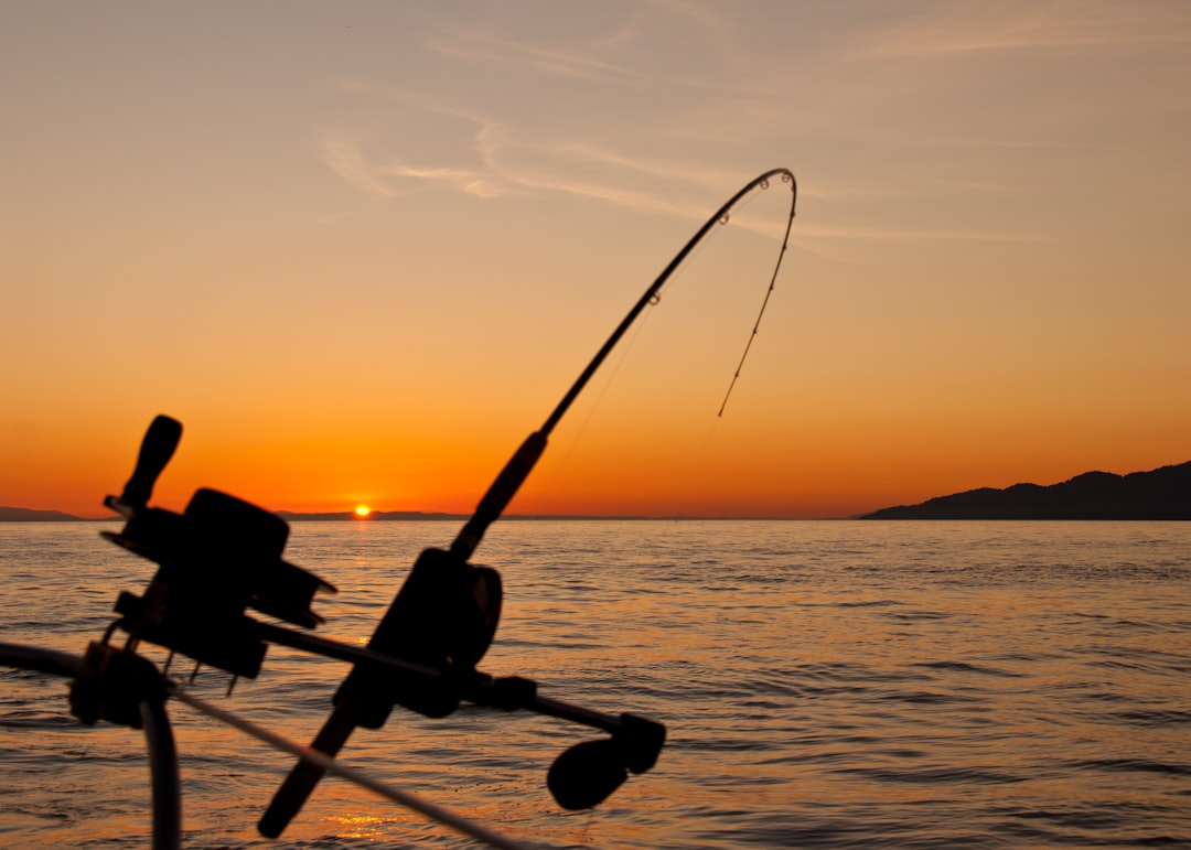 black fishing rod and body of water during golden hour — Foto por James Wheeler na Unsplash